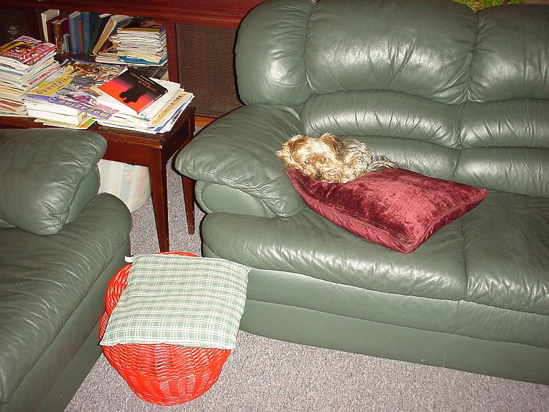 DSC02675.JPG