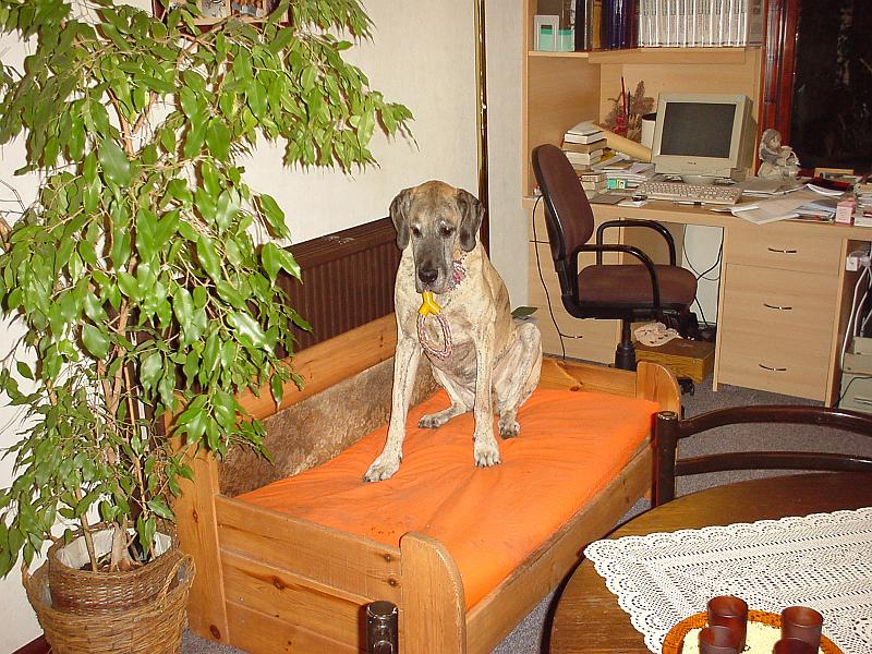 DSC02690.JPG