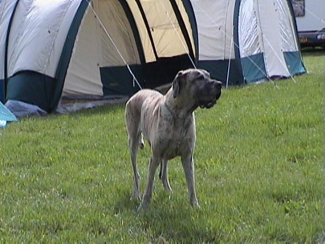 DSC00014.JPG