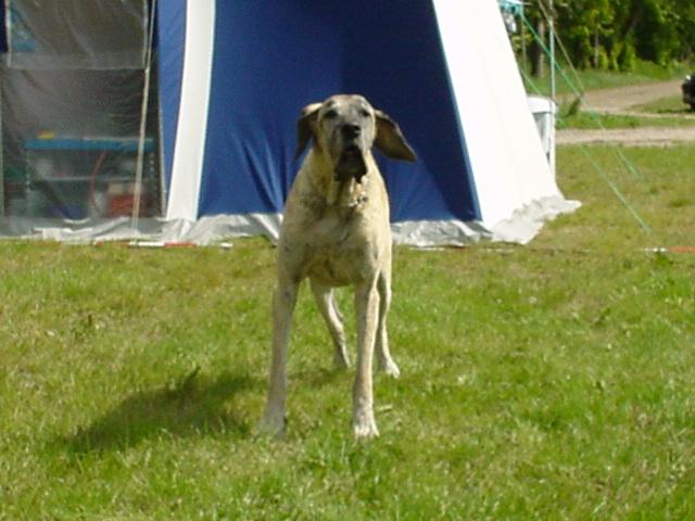 DSC02784.JPG