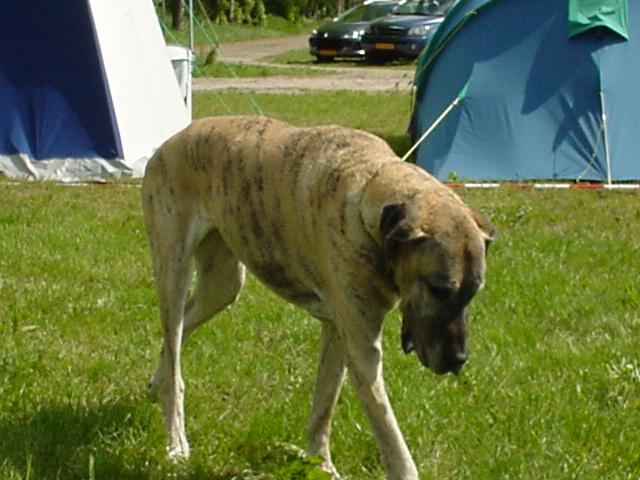 DSC02785.JPG