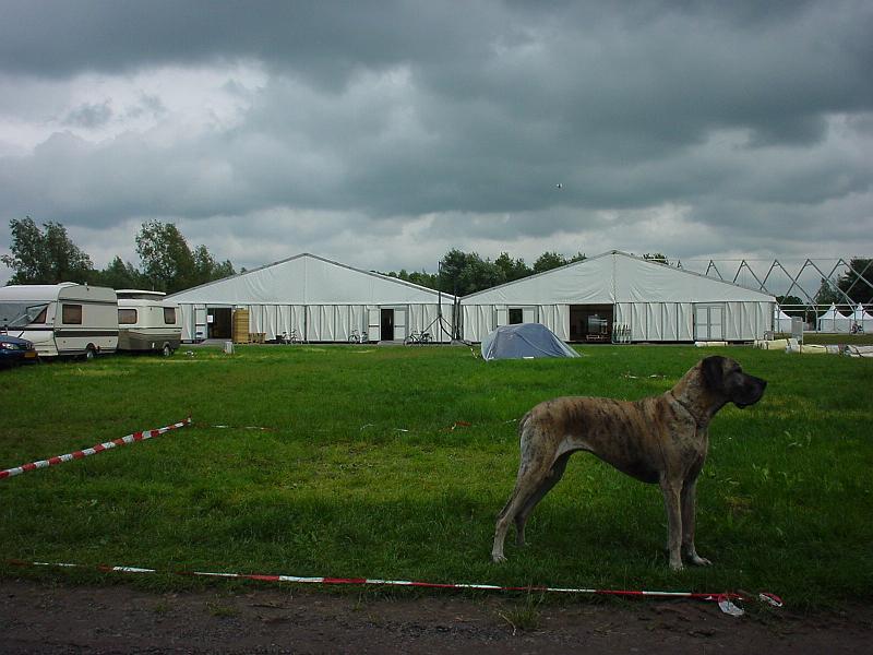 DSC02788.JPG