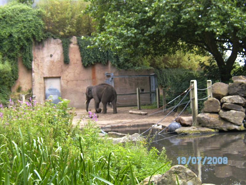 BILD0087.JPG