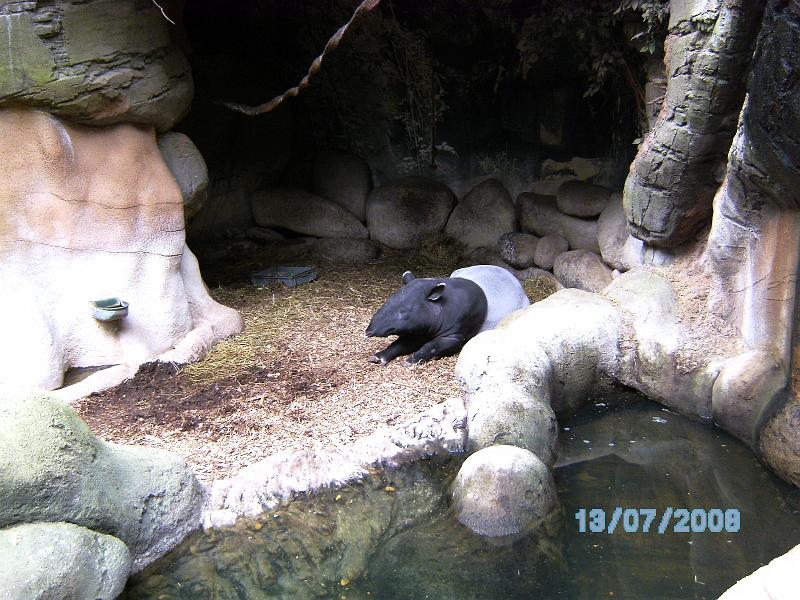 BILD0089.JPG