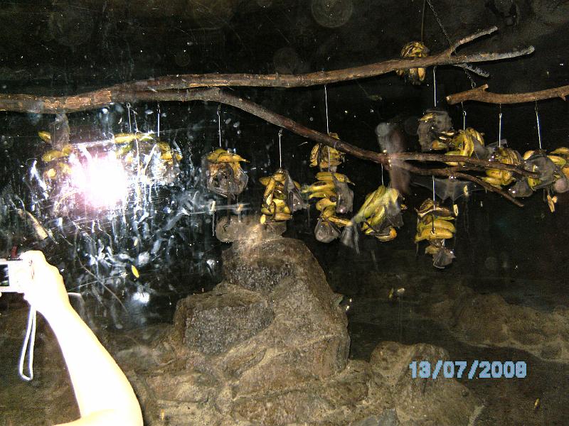 BILD0103.JPG