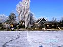 BILD0421