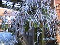 BILD0426
