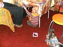 BILD0534
