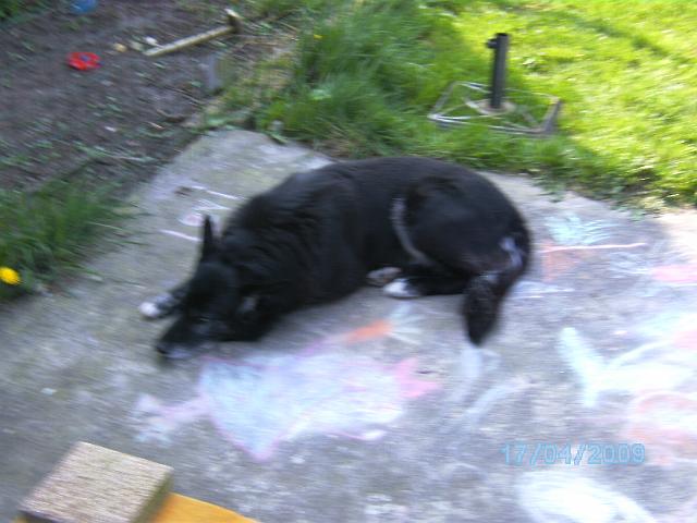 BILD0591.JPG