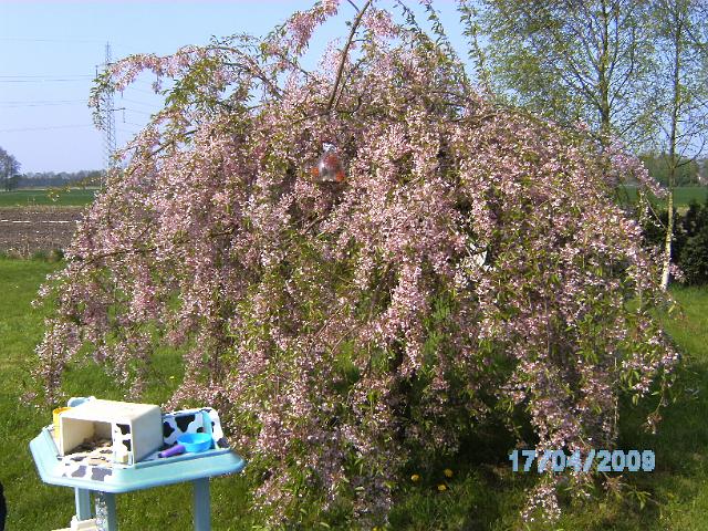 BILD0592.JPG