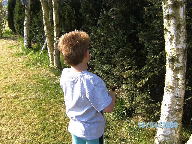 BILD0614.JPG