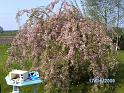BILD0592