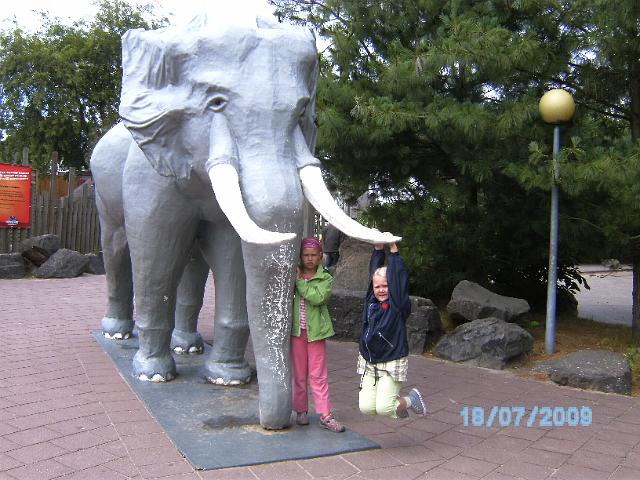 BILD0620.JPG