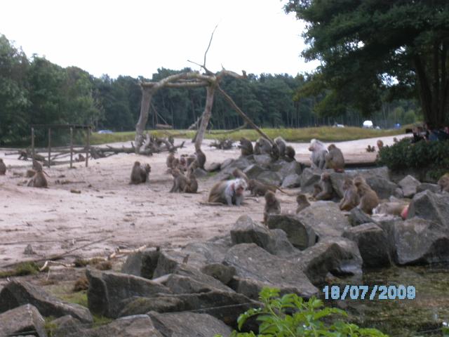 BILD0652.JPG