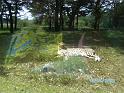 BILD0624