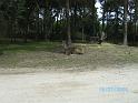 BILD0631