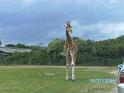 BILD0636
