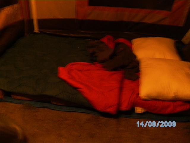 BILD0759.JPG