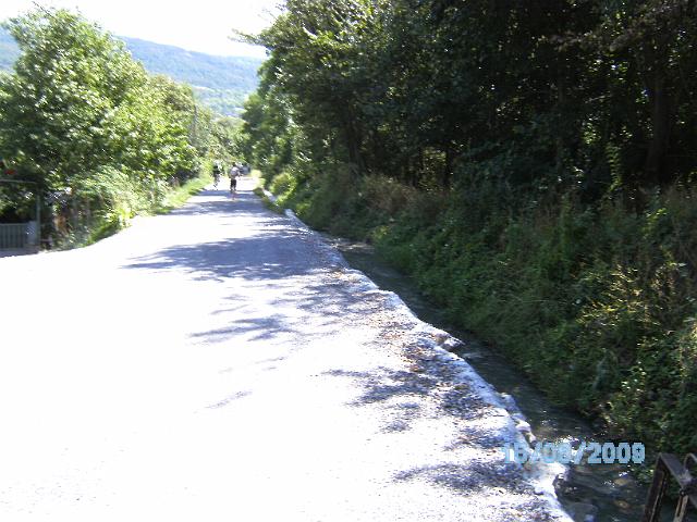 BILD0790.JPG