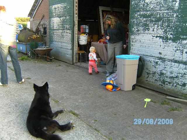 BILD0817.JPG
