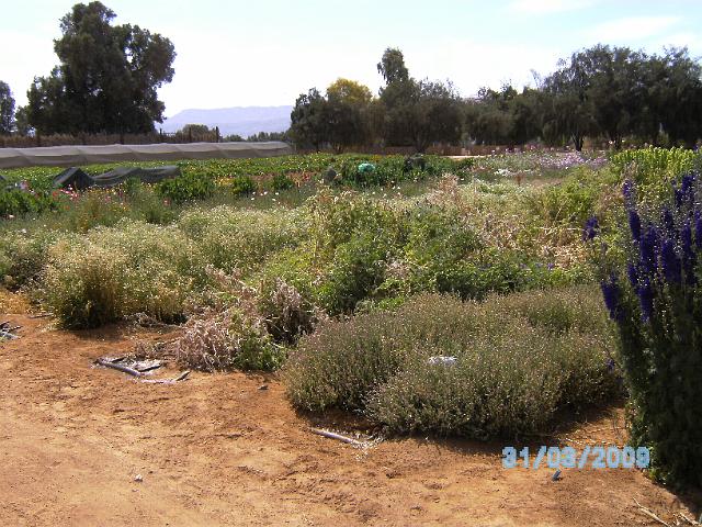 BILD0052.JPG