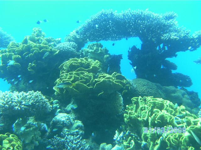 BILD0078.JPG