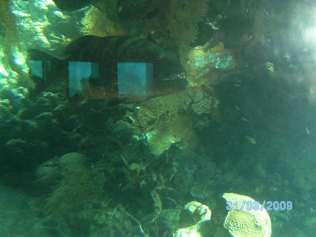 BILD0088.JPG