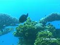 BILD0080