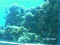 BILD0081