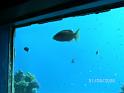BILD0082