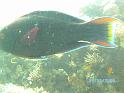 BILD0084
