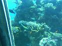 BILD0085