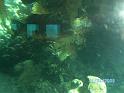 BILD0088