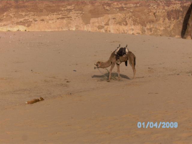 BILD0148.JPG