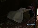BILD0203