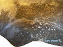 BILD0294