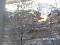 BILD0064