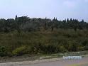 BILD0094
