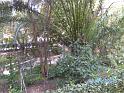 BILD0561