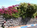 2009_04_05